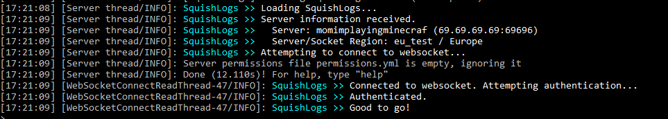 SquishLogs connecting in the console